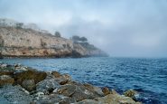 Fenómemo del taró causa alerta en el baño de las playas de Málaga