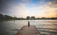 perro espera a su familia en el muelle