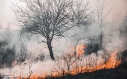 Qué son los incendios de sexta generación