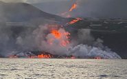 lava la palma peces 1