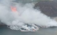 La Palma volcán peces