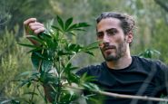 young caucasian man taking care of the large cannabis plants in the garden 1