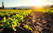 Immagine che rappresenta l'agricoltura in Valencia dopo la DANA