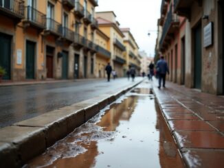 Immagine che rappresenta la solidarietà durante la tragedia a Valencia