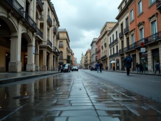 Immagine della gestione della DANA a Valencia