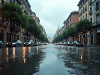 Veicoli in movimento a Valencia dopo la DANA