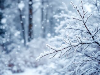 Immagine di forti venti e nevicate in Spagna