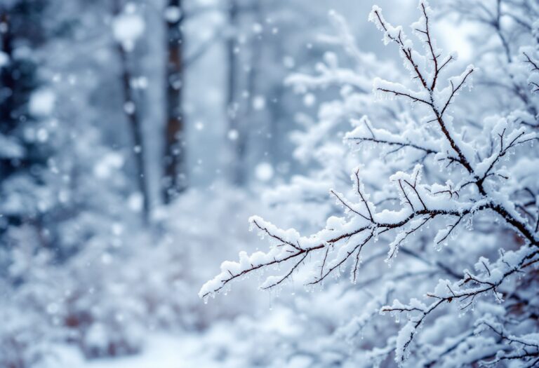 Forti Venti e Nevicate in Spagna