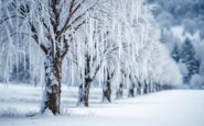 Paisaje invernale di Madrid con neve e freddo intenso