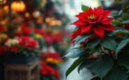 Poinsettia roja decorando una casa en Navidad