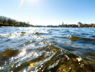 Uomo si lancia nel fiume Guadalquivir a Sevilla