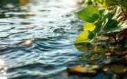 Uomo in acqua a Sevilla dopo tentativo di fuga dalla polizia