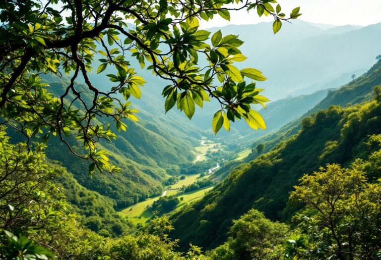 Futuro del Valle de Cuelgamuros: concorso in attesa