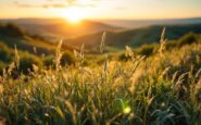 Immagine che rappresenta la caza sostenibile e la natura