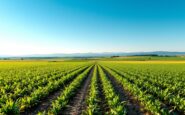 Presentazione delle misure agrarie del Govern de Catalunya