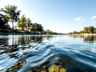 Immagine del narcotráfico nel fiume Guadalquivir