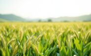 Agricultores en Lleida adaptándose a nueva jornada laboral