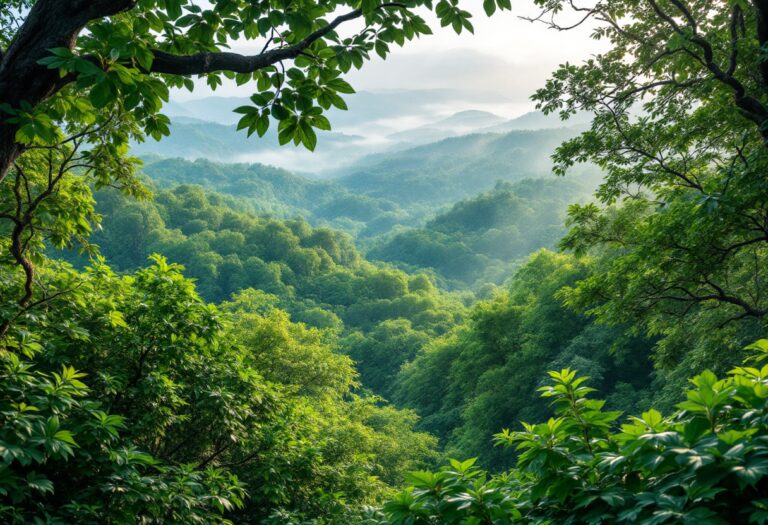 Valorización de la riqueza natural en economía